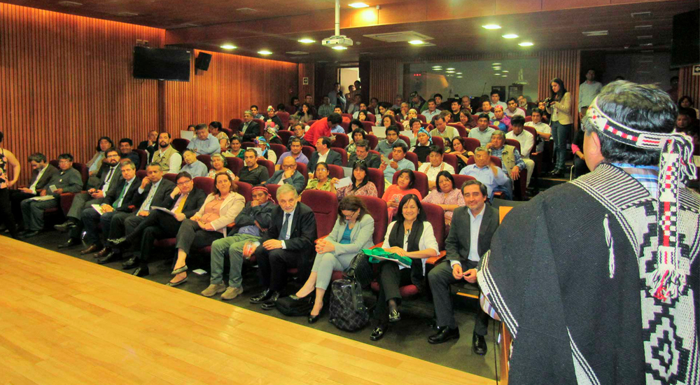 emprendimientos-mapuches-de-la-araucania-los-rios-y-los-lagos-recibieron-apoyo-para-sus-proyectos-1.jpg