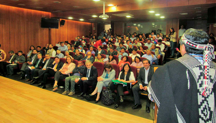 Formulación de proyectos indígenas 