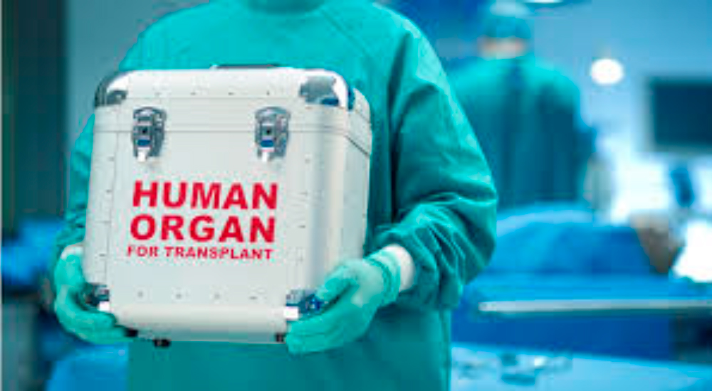 ley-de-donacion-de-organos-1.jpg